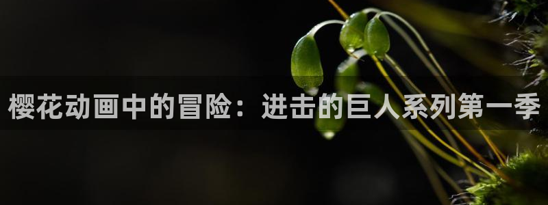 喵趣漫画人气排行榜:樱花动画中的冒险:进击的巨人系列第一季配图