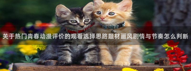 喵趣漫画经典作品推荐：关于热门青春动漫评价的观看选择思路题材画风剧情与节奏怎么判断配图
