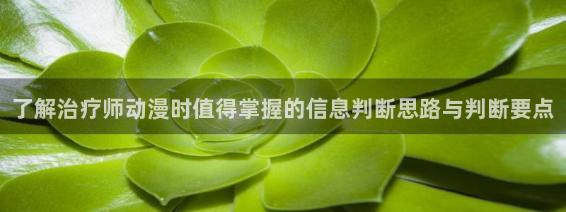 喵趣漫画阅读：了解治疗师动漫时值得掌握的信息判断思路与判断要点配图