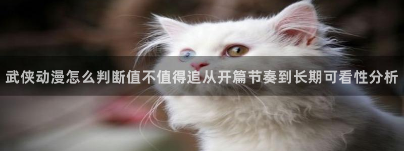 喵趣漫画最新章节在线阅读:武侠动漫怎么判断值不值得追从开篇节奏到长期可看性分析配图