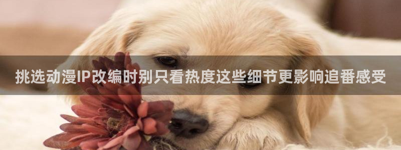 喵趣漫画大全免费:挑选动漫IP改编时别只看热度这些细节更影响追番感受配图