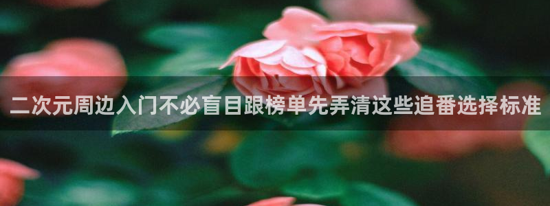 喵趣冒险漫画:二次元周边入门不必盲目跟榜单先弄清这些追番选择标准配图