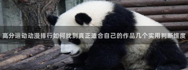 喵趣漫画全部作品：高分运动动漫排行如何找到真正适合自己的作品几个实用判断维度配图